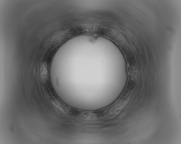 X0000112051298200908181128