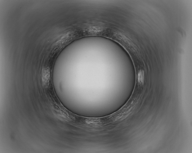 X0000112051299200908181128