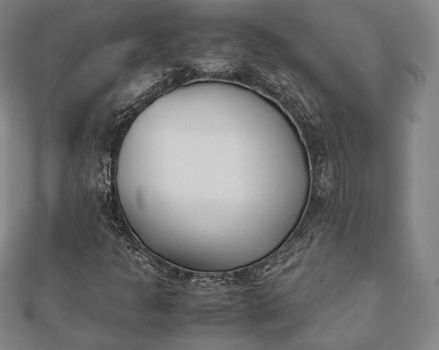 X0000112051301200908181128