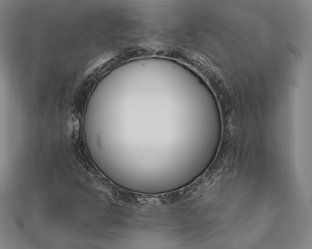 X0000112051302200908181128