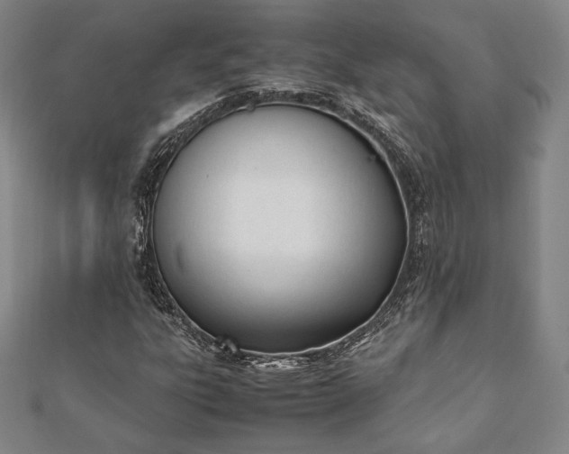 X0000112051303200908181128