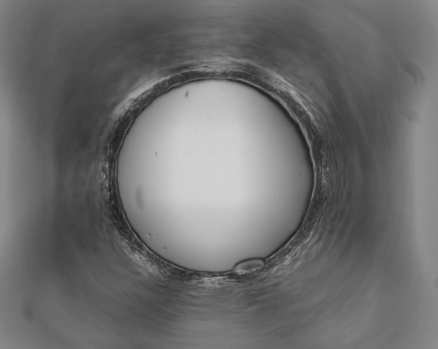 X0000112051304200908181128