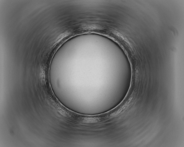 X0000112051305200908181128