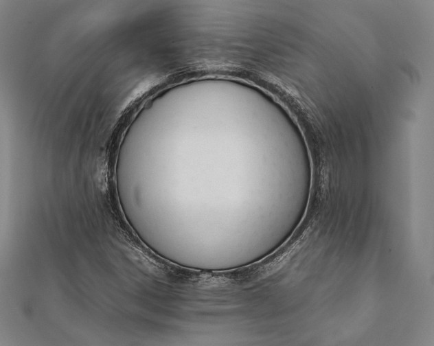 X0000112051306200908181128