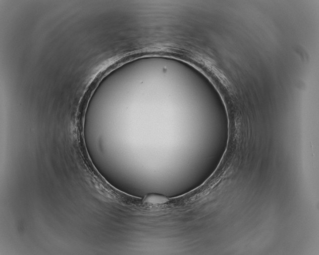 X0000112051308200908181128