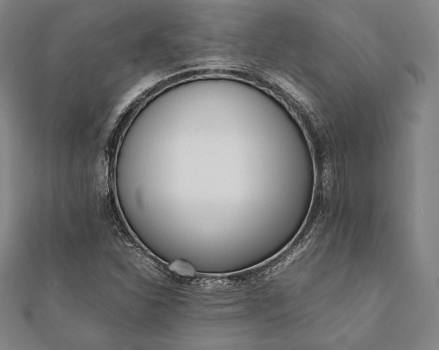 X0000112051310200908181128