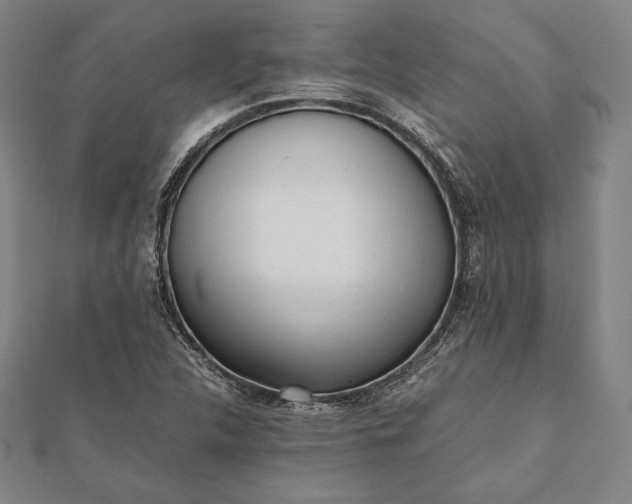 X0000112051312200908181128