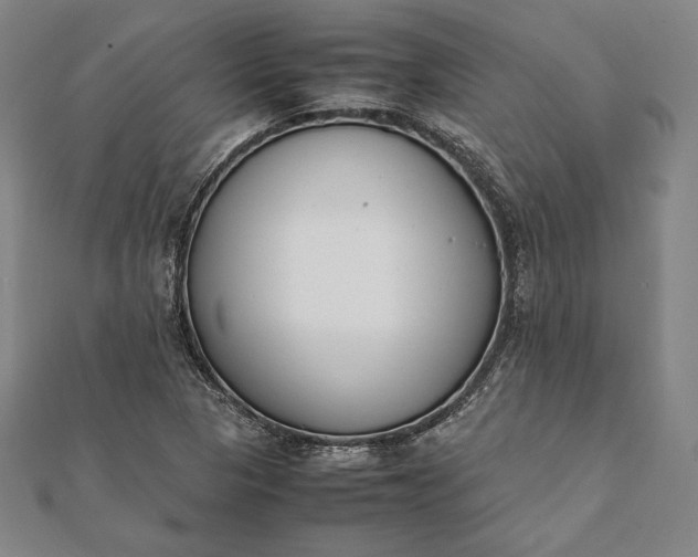 X0000112051313200908181128