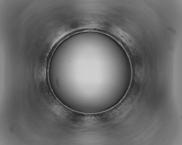 X0000112051316200908181128