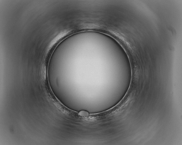 X0000112051317200908181128