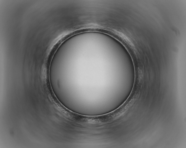 X0000112051318200908181128