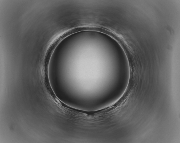 X0000112051319200908181128