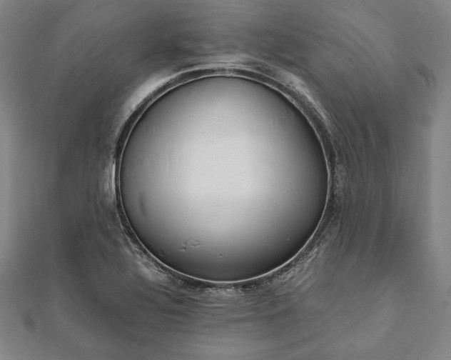 X0000112051320200908181128