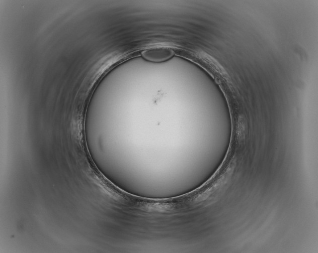 X0000112051321200908181128