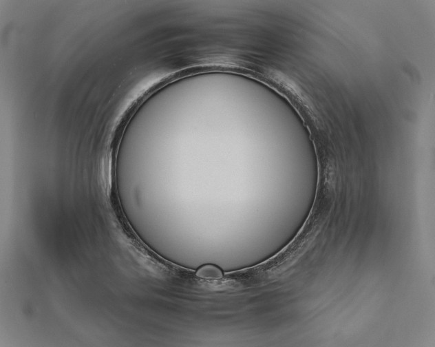 X0000112051323200908181128