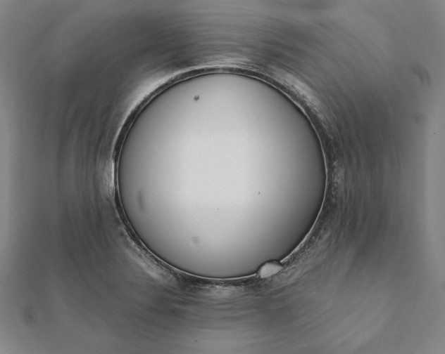 X0000112051324200908181128