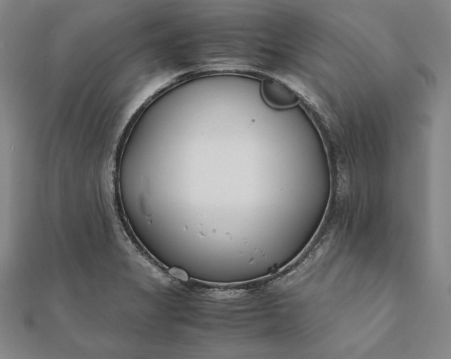 X0000112051325200908181128