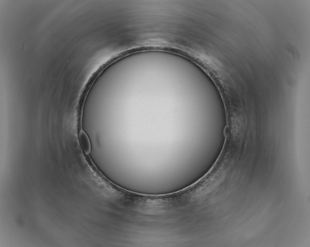 X0000112051326200908181128