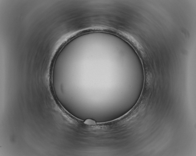 X0000112051327200908181128