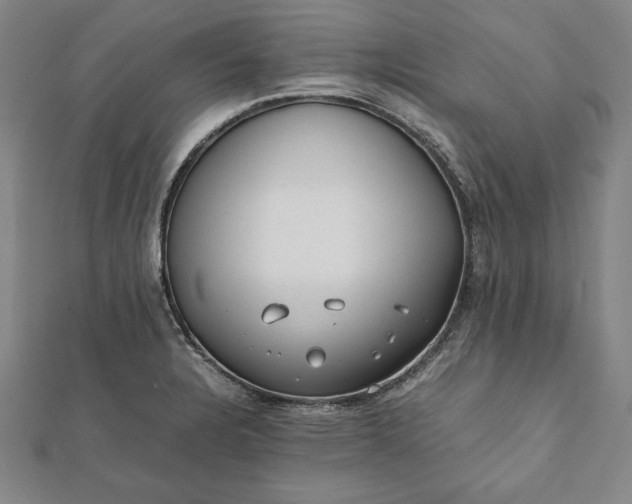 X0000112051328200908181128