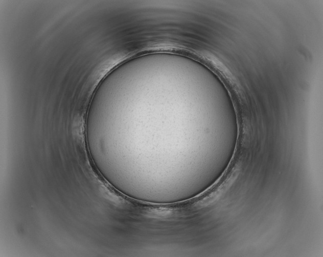 X0000112051329200908181128