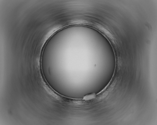 X0000112051330200908181128