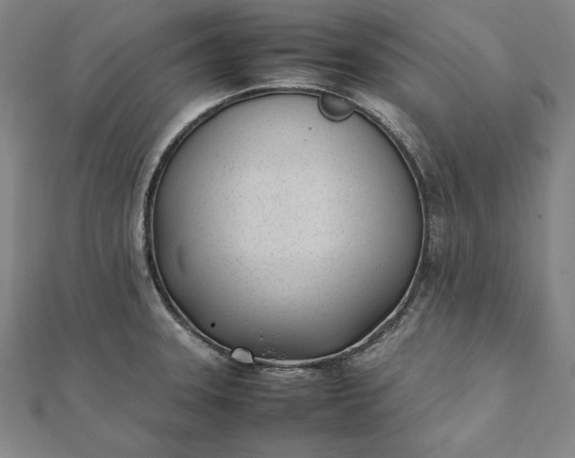 X0000112051331200908181128