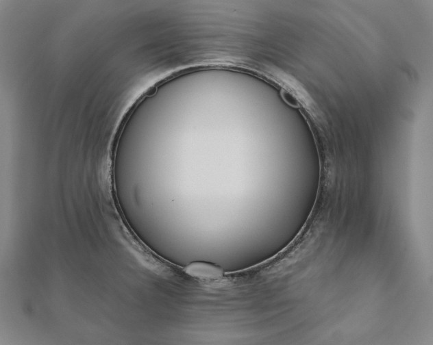 X0000112051332200908181128