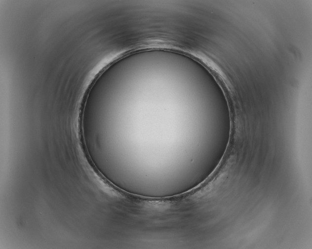 X0000112051333200908181128