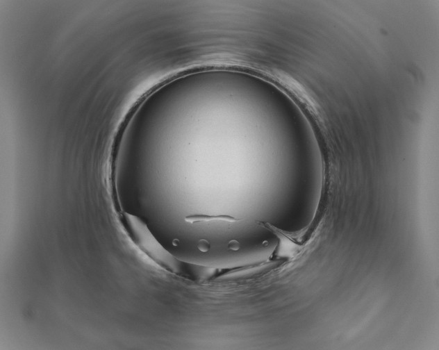 X0000112051334200908181128