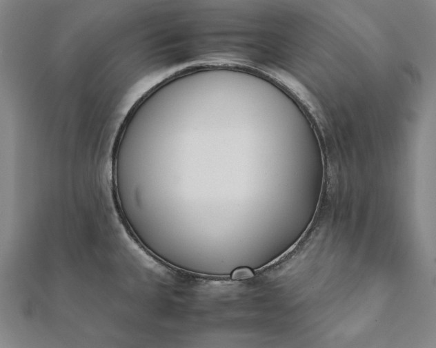 X0000112051335200908181128