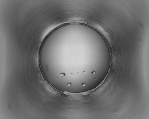 X0000112051336200908181128