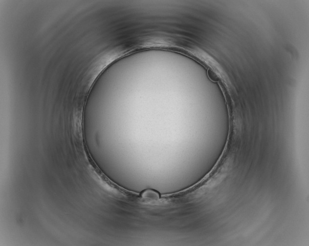 X0000112051337200908181129