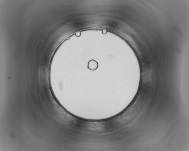 X0000112051338200908181129