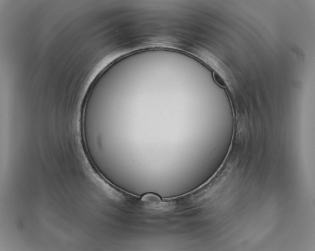 X0000112051339200908181129