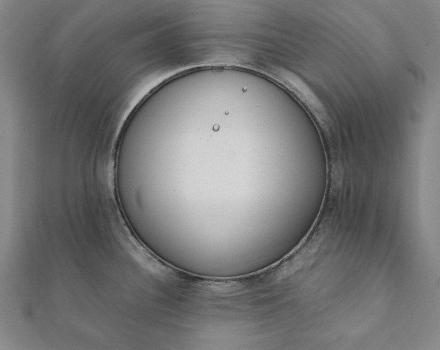 X0000112051340200908181129