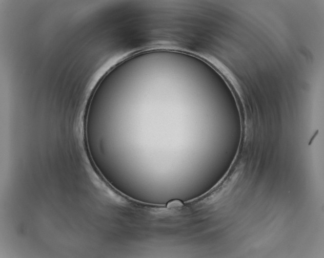 X0000112051341200908181129