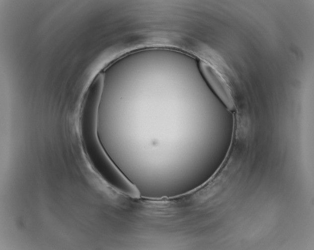 X0000112051342200908181129