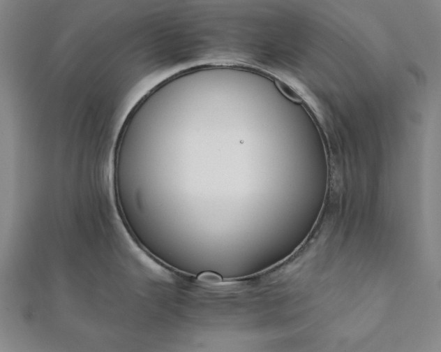 X0000112051343200908181129