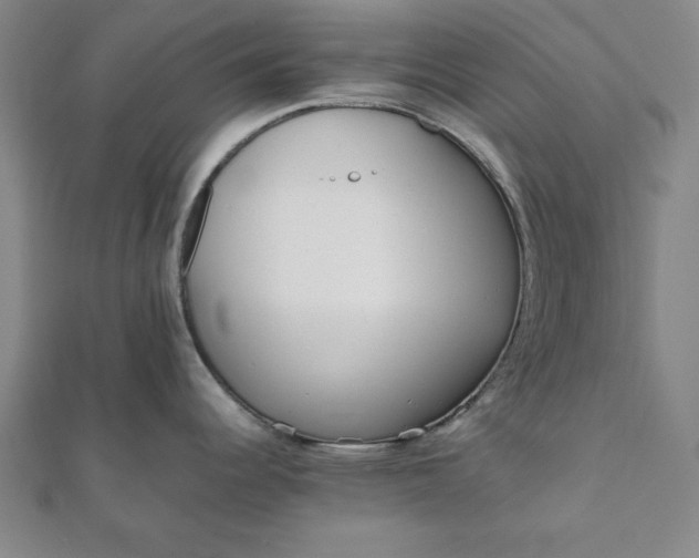 X0000112051344200908181129