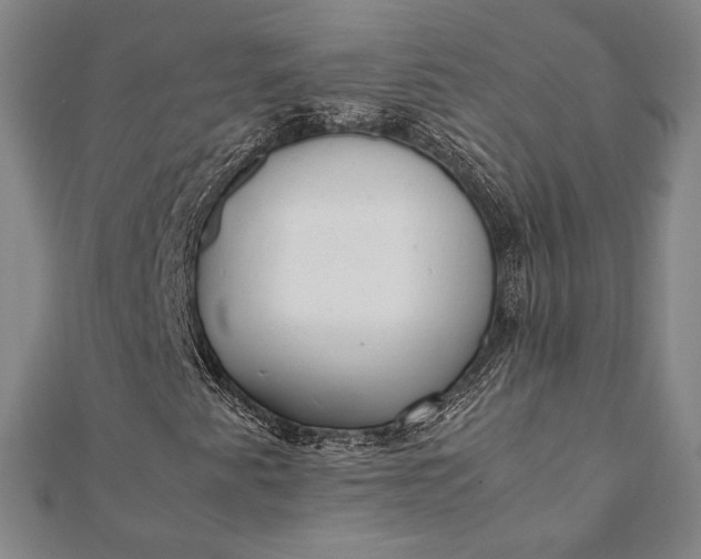 X0000112051345200908181128