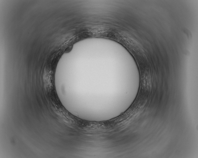 X0000112051346200908181128