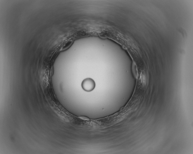 X0000112051348200908181128