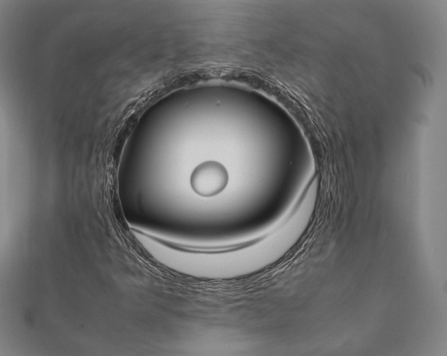 X0000112051349200908181128