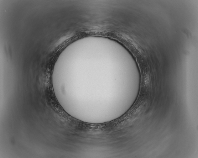 X0000112051350200908181128