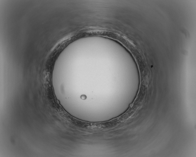 X0000112051351200908181128