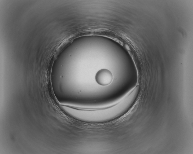 X0000112051353200908181128