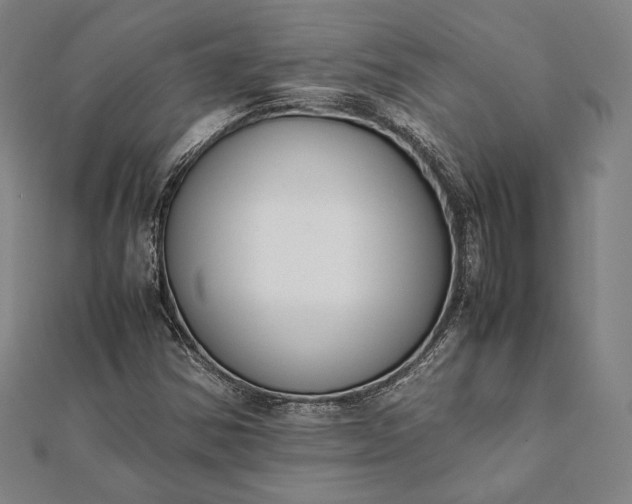 X0000112051354200908181128