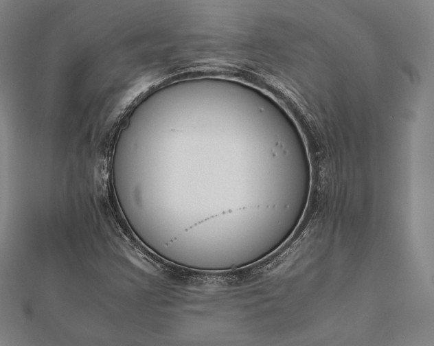 X0000112051355200908181128