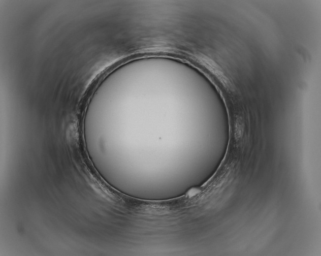 X0000112051356200908181128